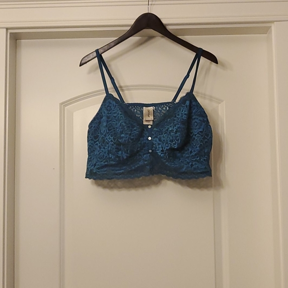 Deese Other - Deese - Teal Lace Bustier 3X